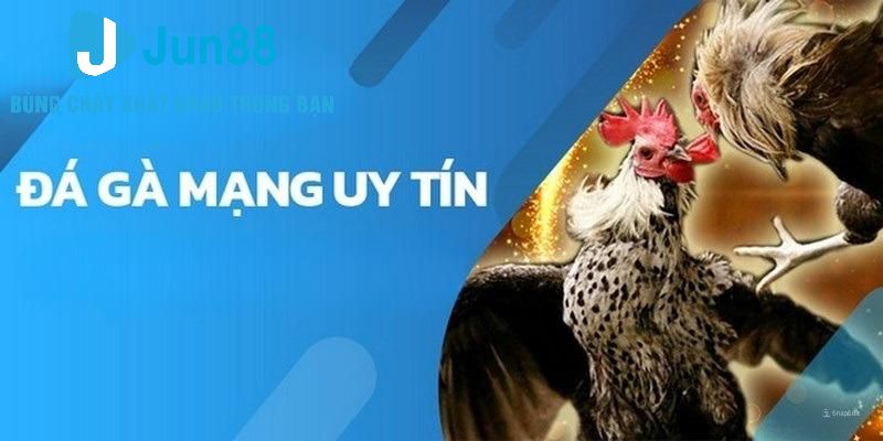 Hỗ trợ quá trình rút thưởng thuận tiện